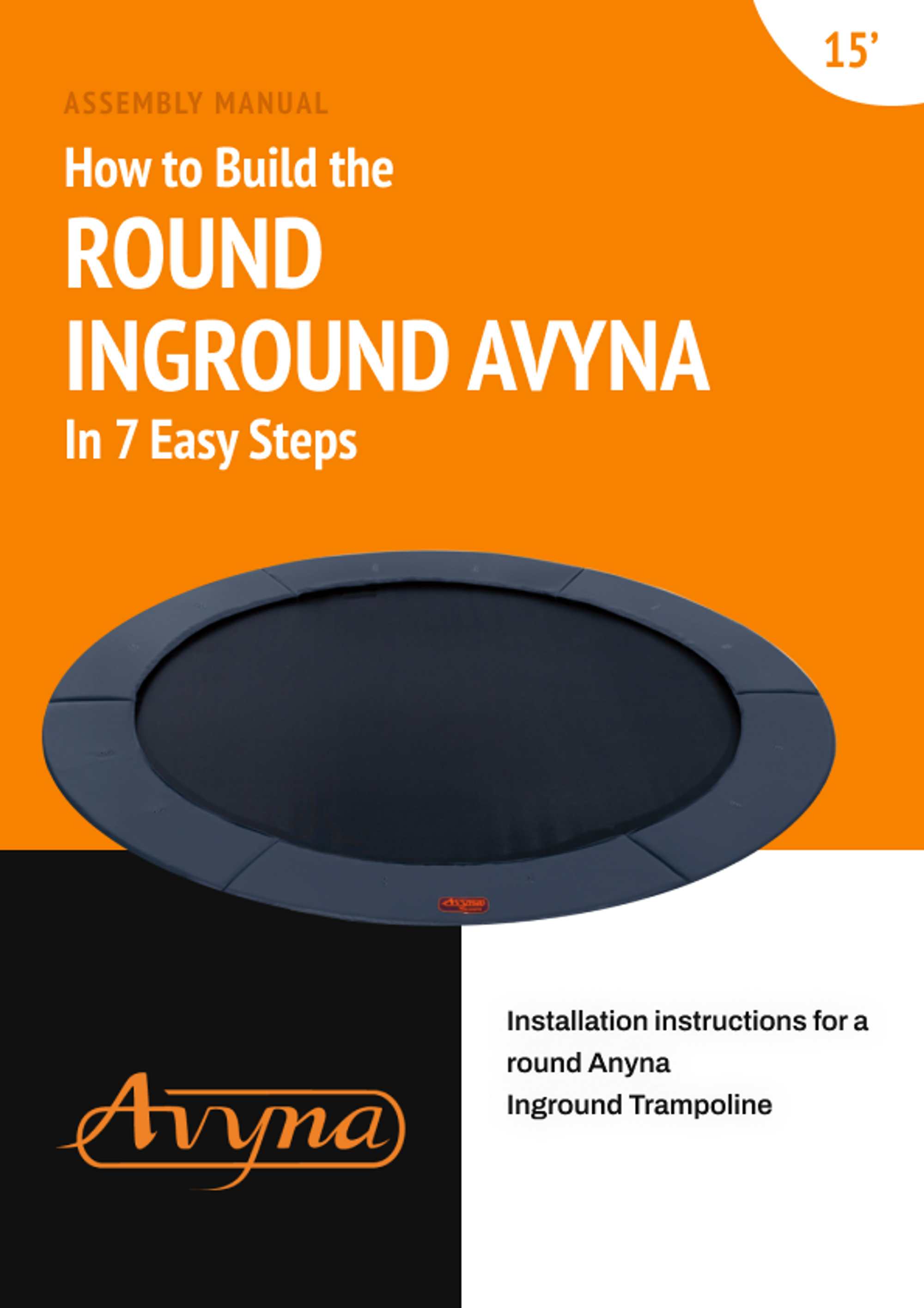 12 Avyna PDF Cover