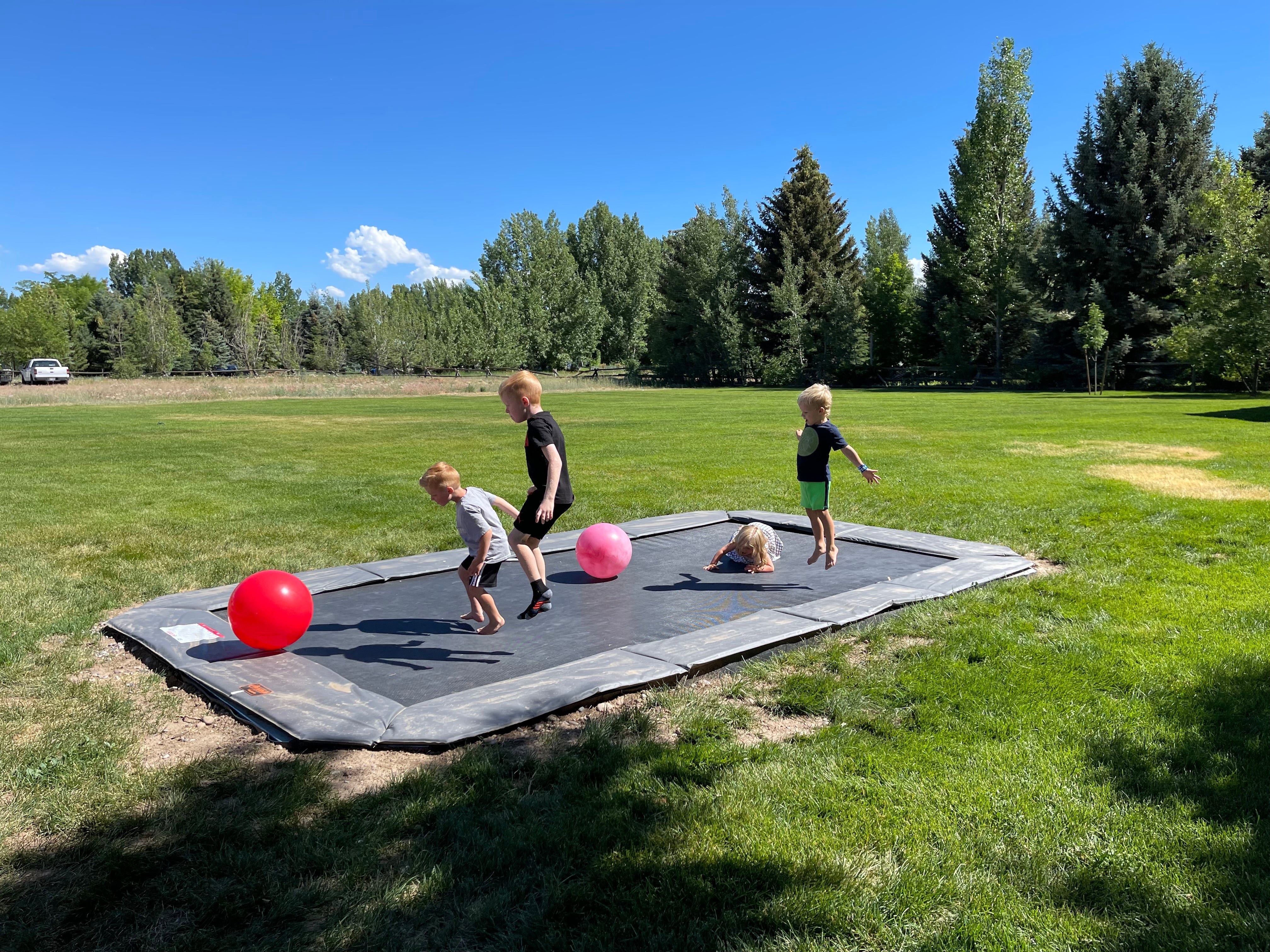 Trampolines For Sale